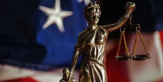 Federal Rulemaking Committee Should Require the Disclosure of Lit