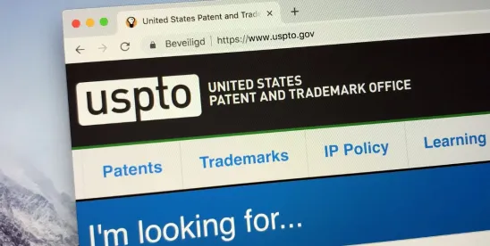 USPTO Confirms Interfaces in Digital Design Formats are Patent El