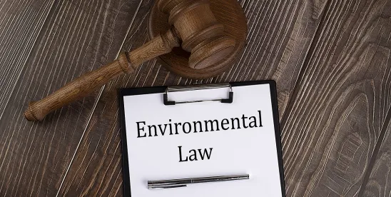 Limitations Periods of Enviroonmental Claims in the Context of Ci