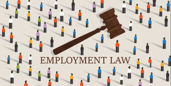 Litigation Lens: PIPs Under the Microscope—Adverse Action or Management Tool? [Podcast]