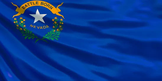 Nevada Supreme Court Decision on IME Statute Constitutionality