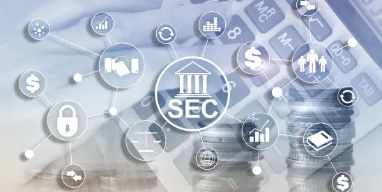 SEC Proposes Rules to Alter Streamlined Registration Processes
