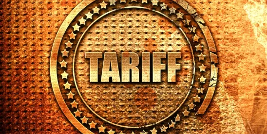 Model Interconnection Tariff for Large Load Customers Adopted by