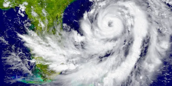 The Story of Hurricane Irma as Told by Insurance Litigation