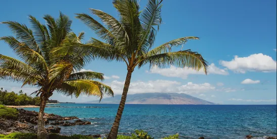 Increased Scrutiny for Providers and MCOs Signaled by Hawaii MFCU