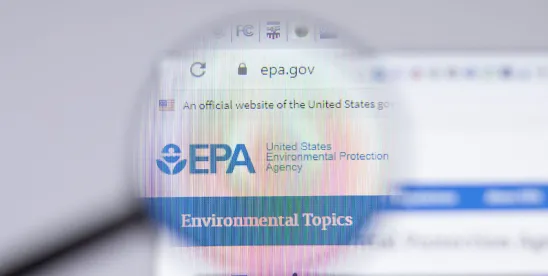 Environmental Protection Agency Extends TSCA Reprting Deadline